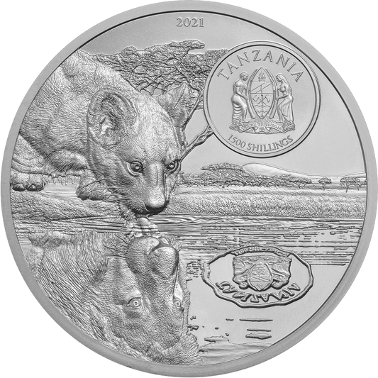 Lion | Growing Up 2 Oz 999 Silbermünze Proof Tanzania 2023