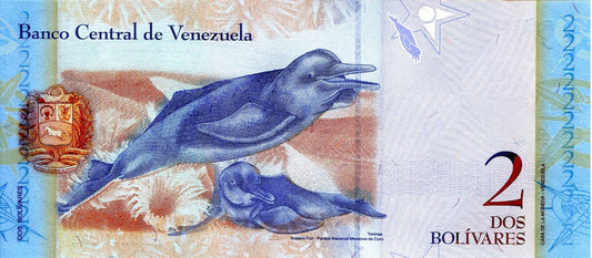 VENEZUELA 2 | BANKNOTE 2013 UNC