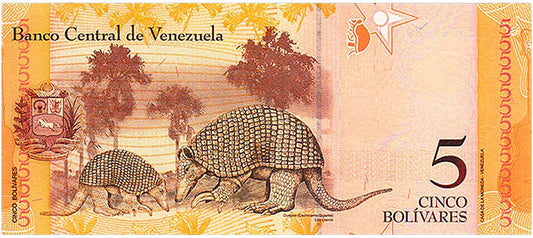 VENEZUELA 5 BOLIVAR | BANKNOTE 2014 UNC