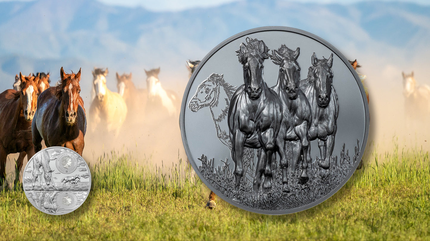 Stallion | Growing Up 5 Oz .999 Silbermünze Proof 2023