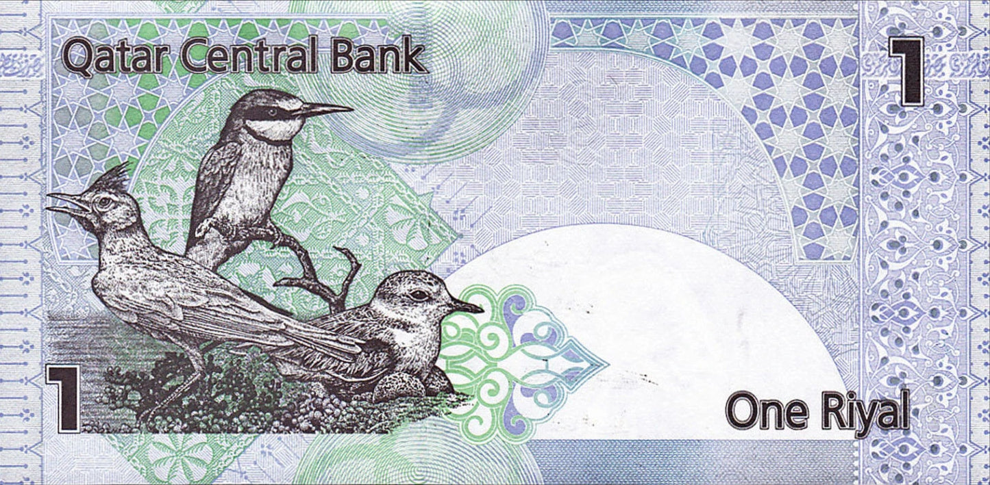 KATAR 1 RIYAL BANKNOTE UNZ 2008 | VÖGEL