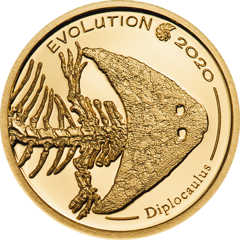 Golden Diplocaulus | Evolution of Life 2020 Mongolei Goldmünze 1000 Togrog 9999 Au Proof - Le Grand Mint