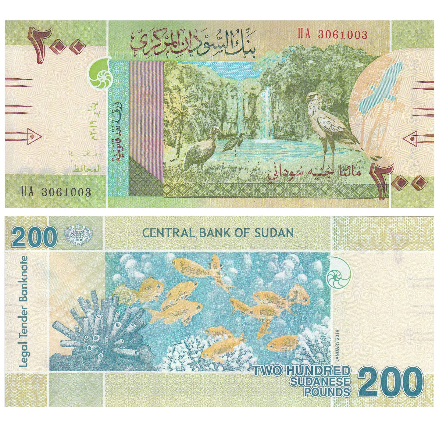 Sudan 200 Pounds paper money 2019 unc